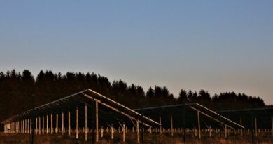 Óriás naperőmű épül Magyarország legnaposabb térségében